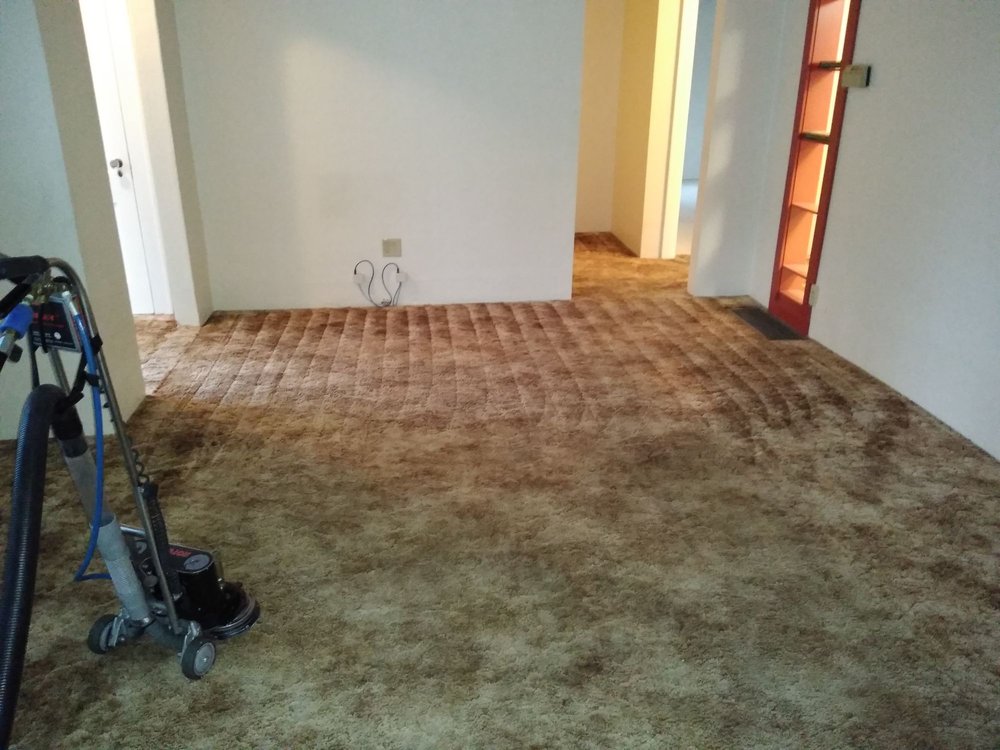 Room with cleaned carpets